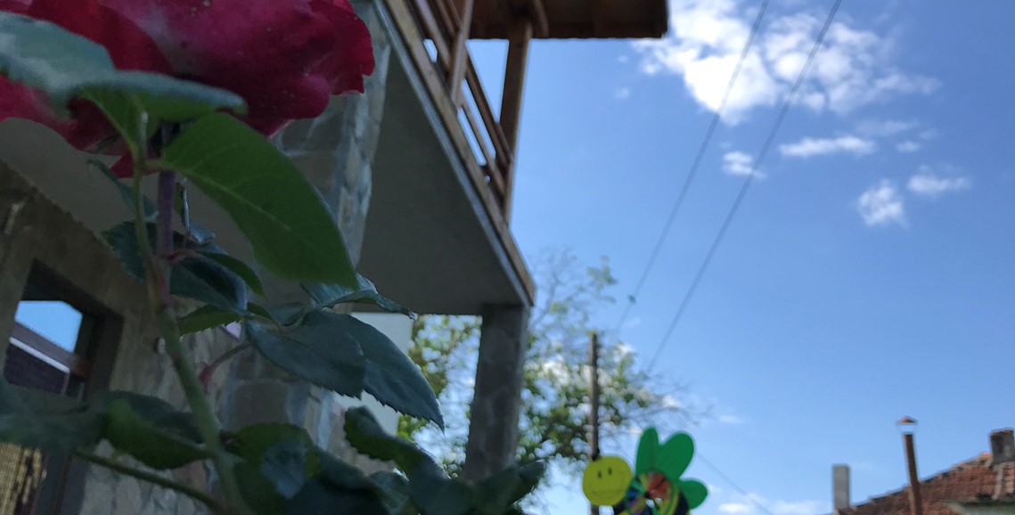 Цялата къща